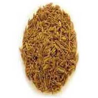 Manufacturers Exporters and Wholesale Suppliers of Cumin Seeds Thiruvalla Kerala